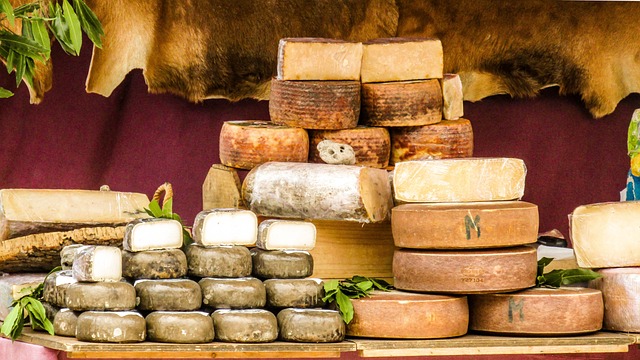 cheesetooli 6 cheesetooli 6